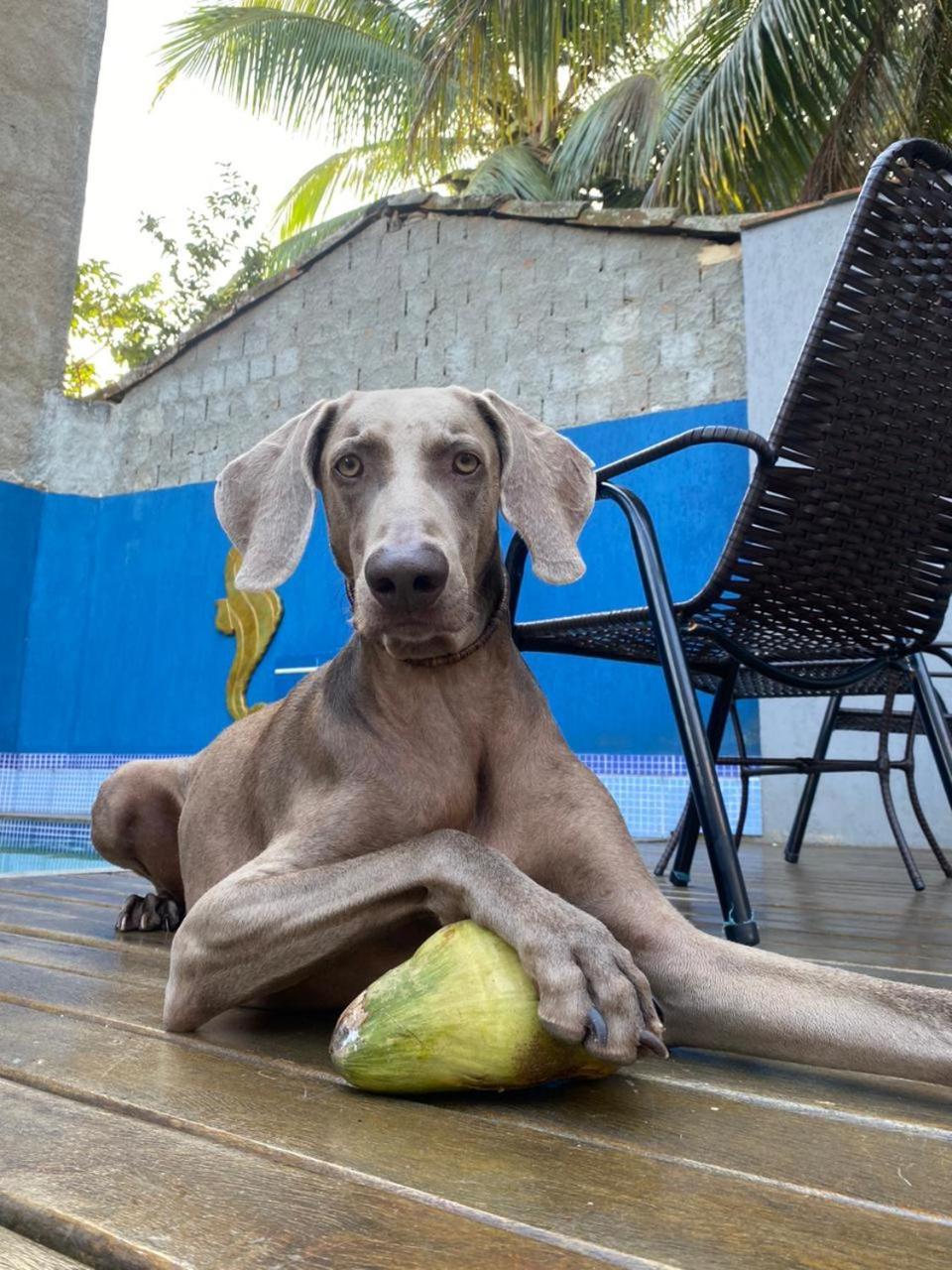 Casa Jaguar Buzios Suites A 3 Minutos Da Praia Geriba Extérieur photo